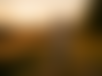 Cómo darle sentido a tu día a día