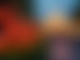 Stay Updated: Latest Disney Park Offerings & Attractions