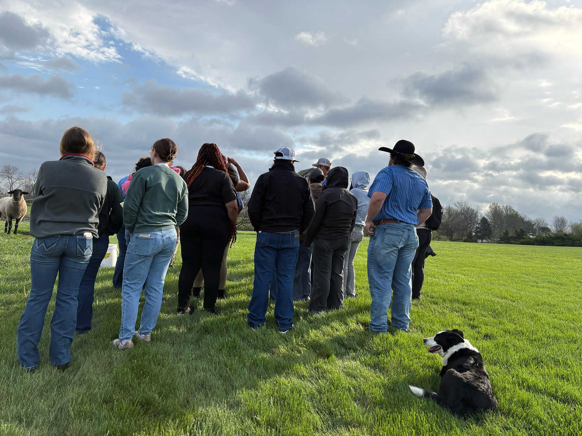 students back watching with dog joe watching over them