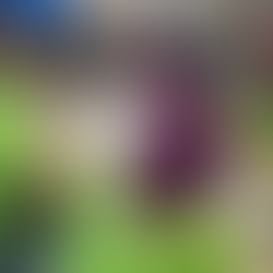 Milwaukee-Make48 Starts This Weekend | Meet The Tool Techs & Mentors