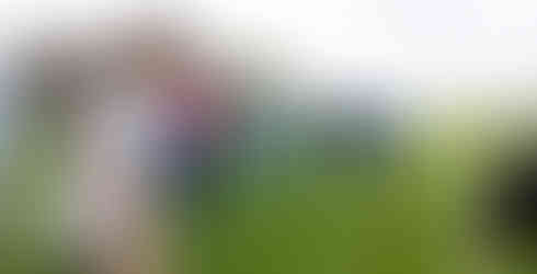 Students on farm with cows