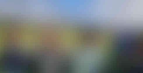 students watching the sheep on the farm