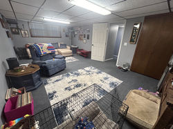 Basement Living  - 16 E Amador