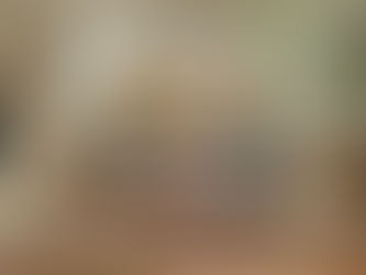 Como compor ambientes com plantas