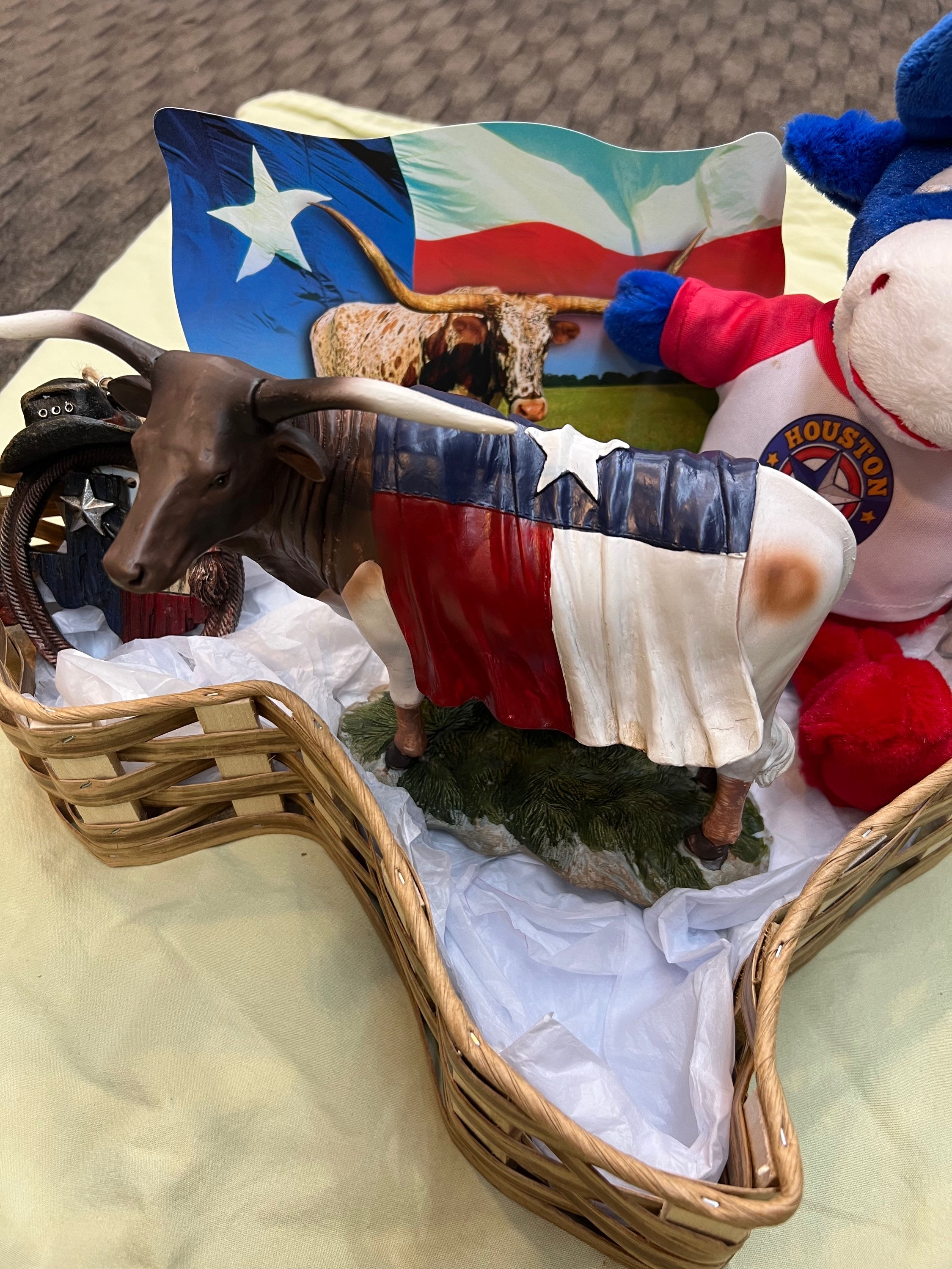 Texas Long horn basket