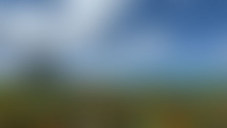 🌴 Disney Wish Cruise – Our Perfect Day at Castaway Cay 🌞