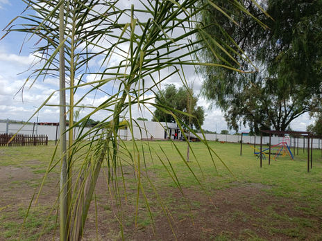 WhatsApp Image 2022-06-20 at 5.25.58 PM.jpeg