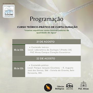 Diagnóstico molecular point of care de doenças infecciosas e parasitárias baseado na técnica de LAMP (Amplificação Isotérmica mediada por alça)  (3).jpg