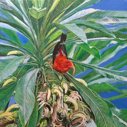 Miller_000058_377709_225349_16165