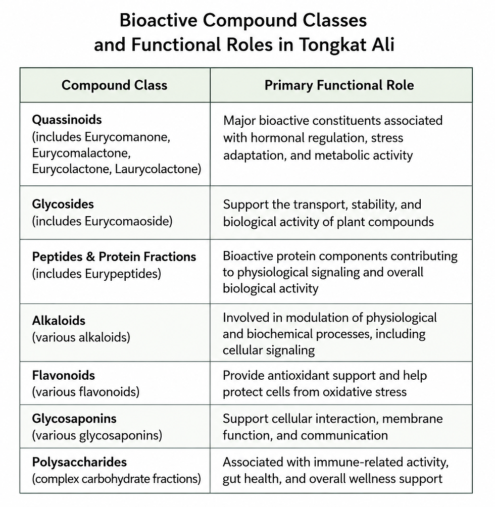 Bioactive Compound & Function in Tongkat Ali 1