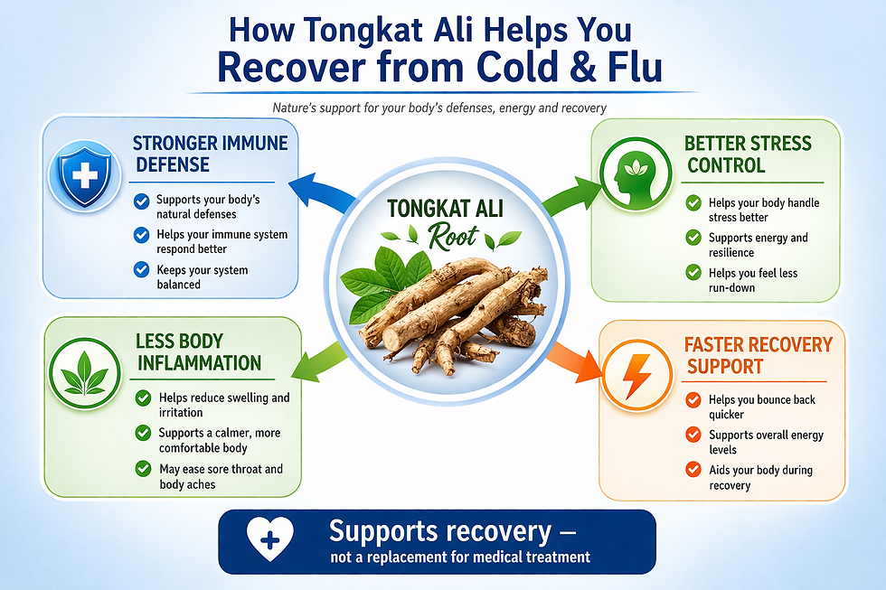 How Tongkat Ali Supports Recovery