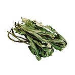 Leaves.png