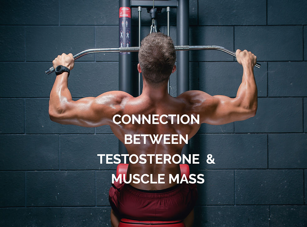 Connection between Testosterone & Muscle Mass