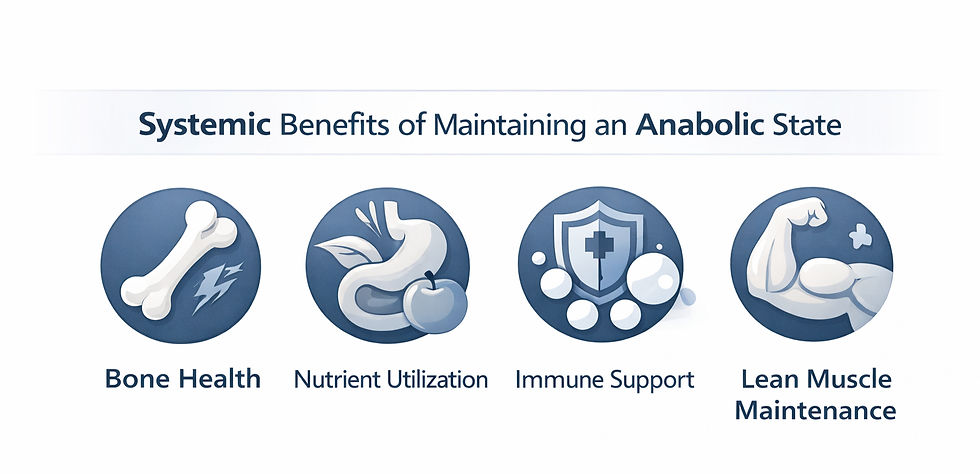 Systemic Benefits of Maintaining an Anabolic State