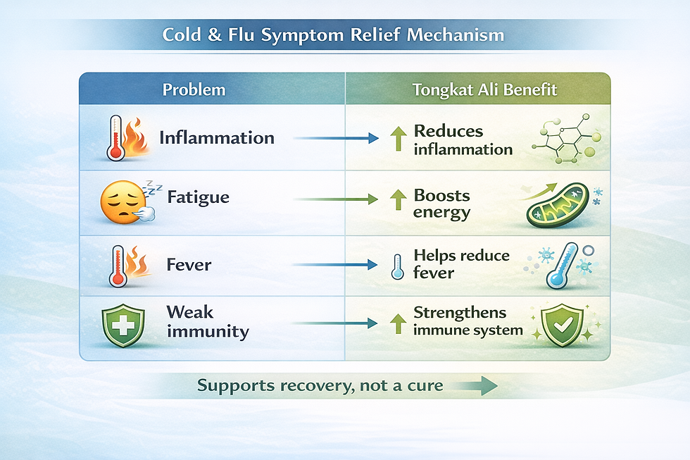 Cold and Flu Relief with Tongkat Ali