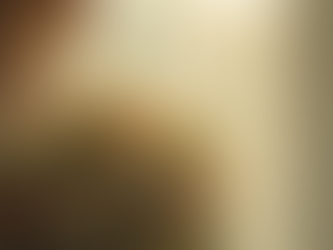 Essential Wedding Day Tips Every Bride and Groom Should Know