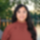 Sahmin.png