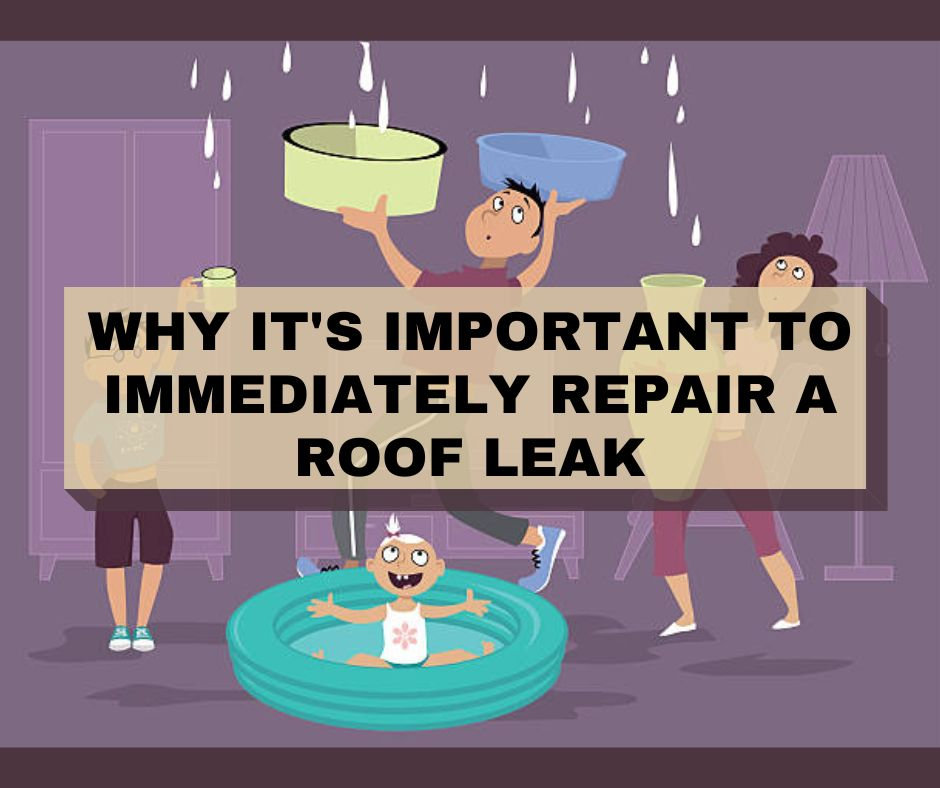 Why it's Important to Immediately Repair a Roof Leak