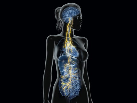 Resetting Your Nervous System: The Power of SSP