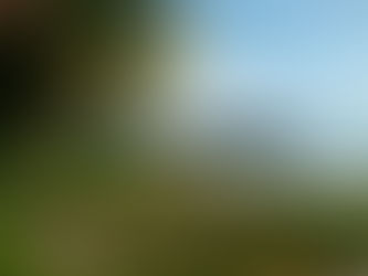 Musical excursion 10