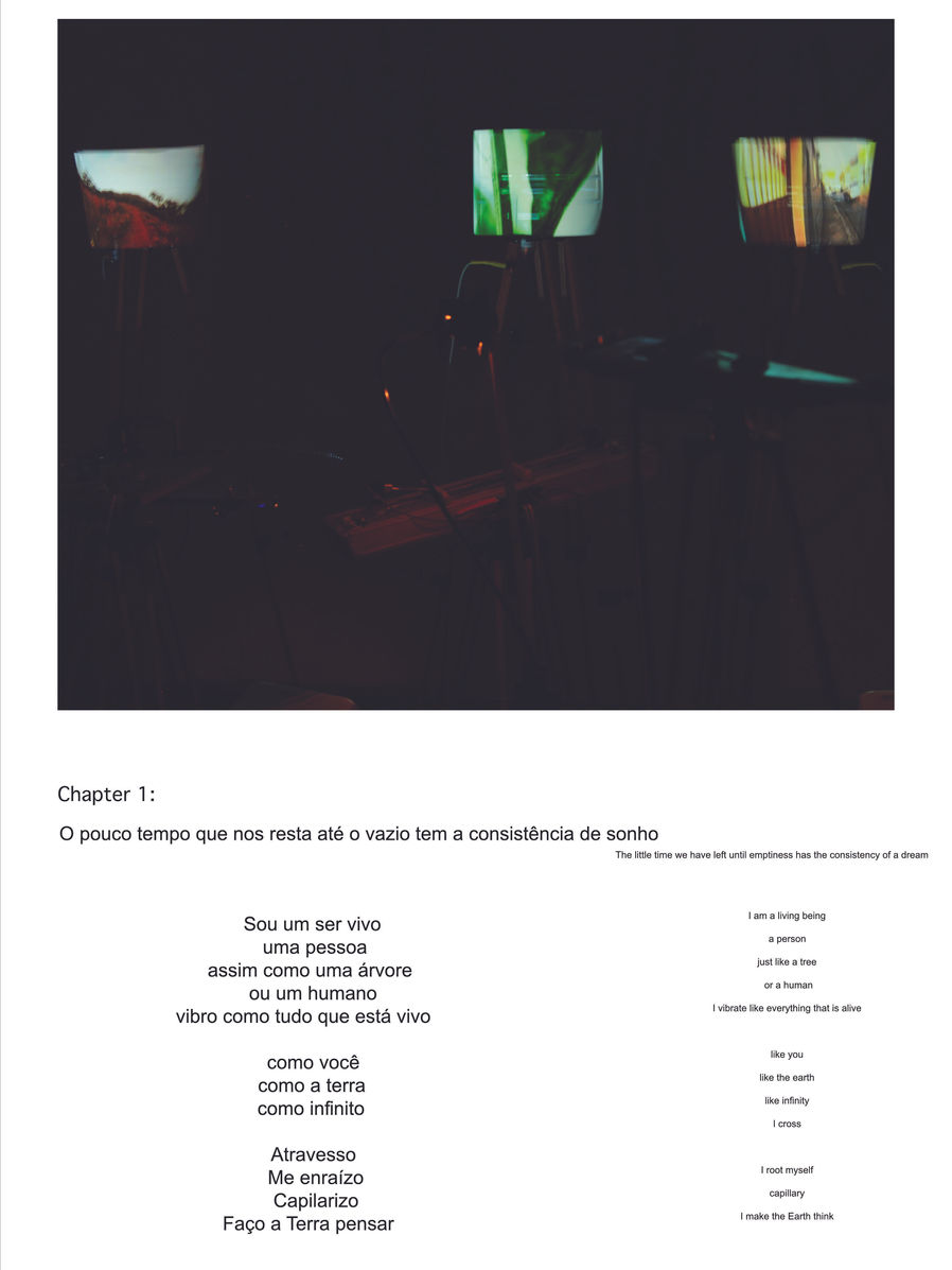 a vida é o pensamneto da terra eng_20.jpg