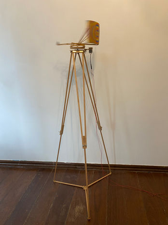 Mira Img10