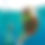 Thumbnail: Jungle Tour