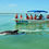 Thumbnail: SIAN KAAN