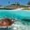 Thumbnail: TULUM AKUMAL TURTLES