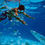 Thumbnail: Clasic Snorkel Cozumel