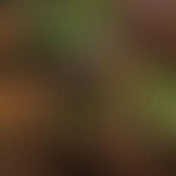 Roasted Baharat Cauliflower