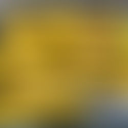 STUFFED VINE LEAVES (DOLMAS)