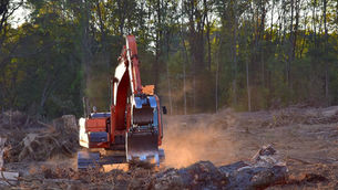 UK's New Law to Stop Illegal Deforestation