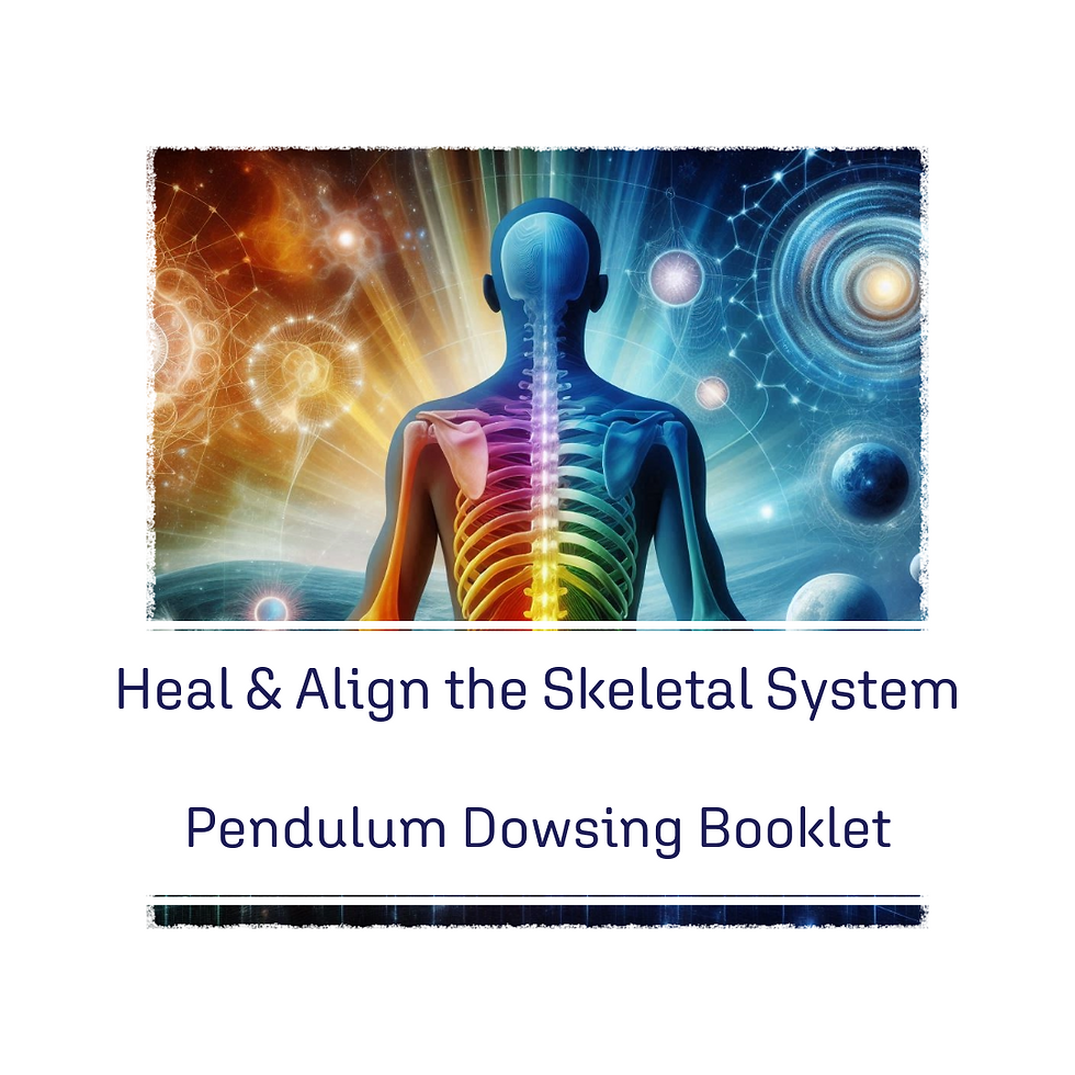 Back of a person with the skeleton highlighted in different colours