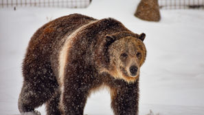 Somebody Make This a Hallmark Movie