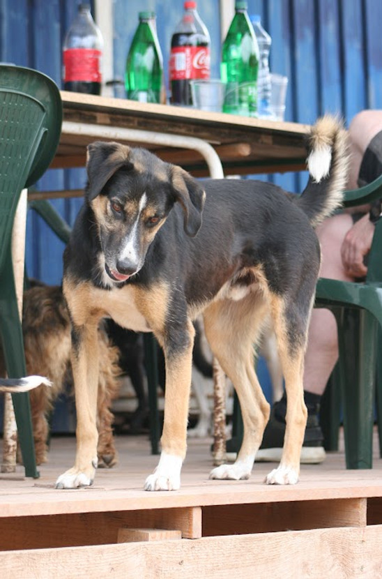 Srecko19.JPG