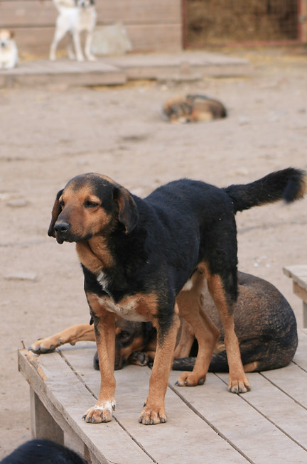 Brundo26.JPG