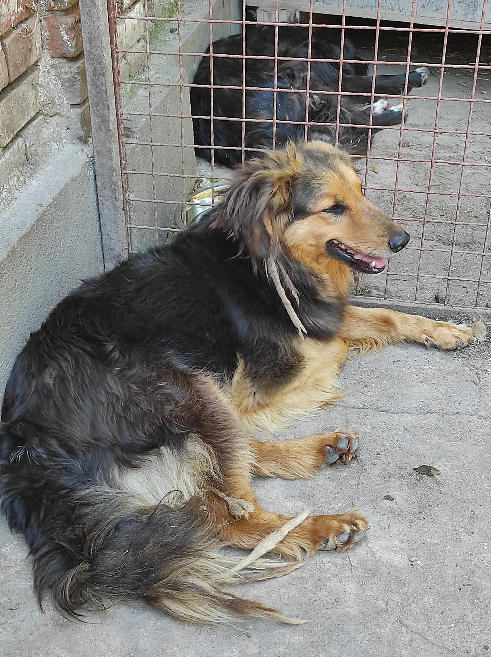 Astrid13.jpg