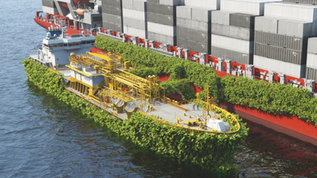 Ethanol as a Marine Fuel (GCGF x BV)