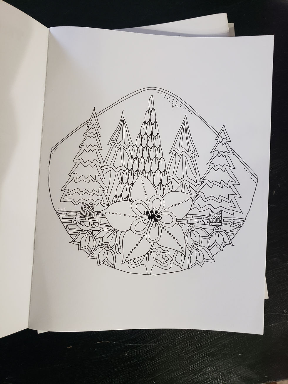 Thumbnail: The Gunnison County Coloring Book