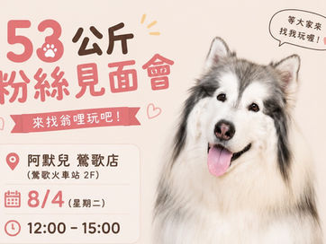 53公斤超人氣萌犬翁哩現身鶯歌車站