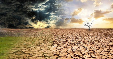 Tipos-Contaminacion-Ambiental.jpg