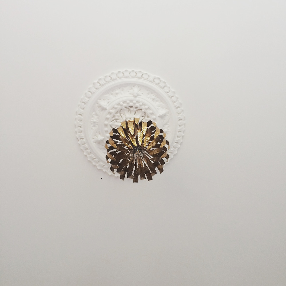 Overhead lighting with a ceiling rose