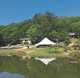 IMG_8151.jpeg
