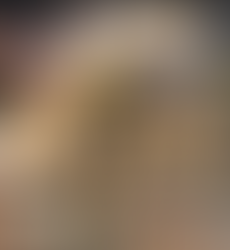 My World Famous Sauerkraut Balls