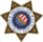 P1 logo.jpg