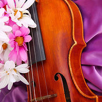 MSA Facebook Cover (5)_edited.jpg