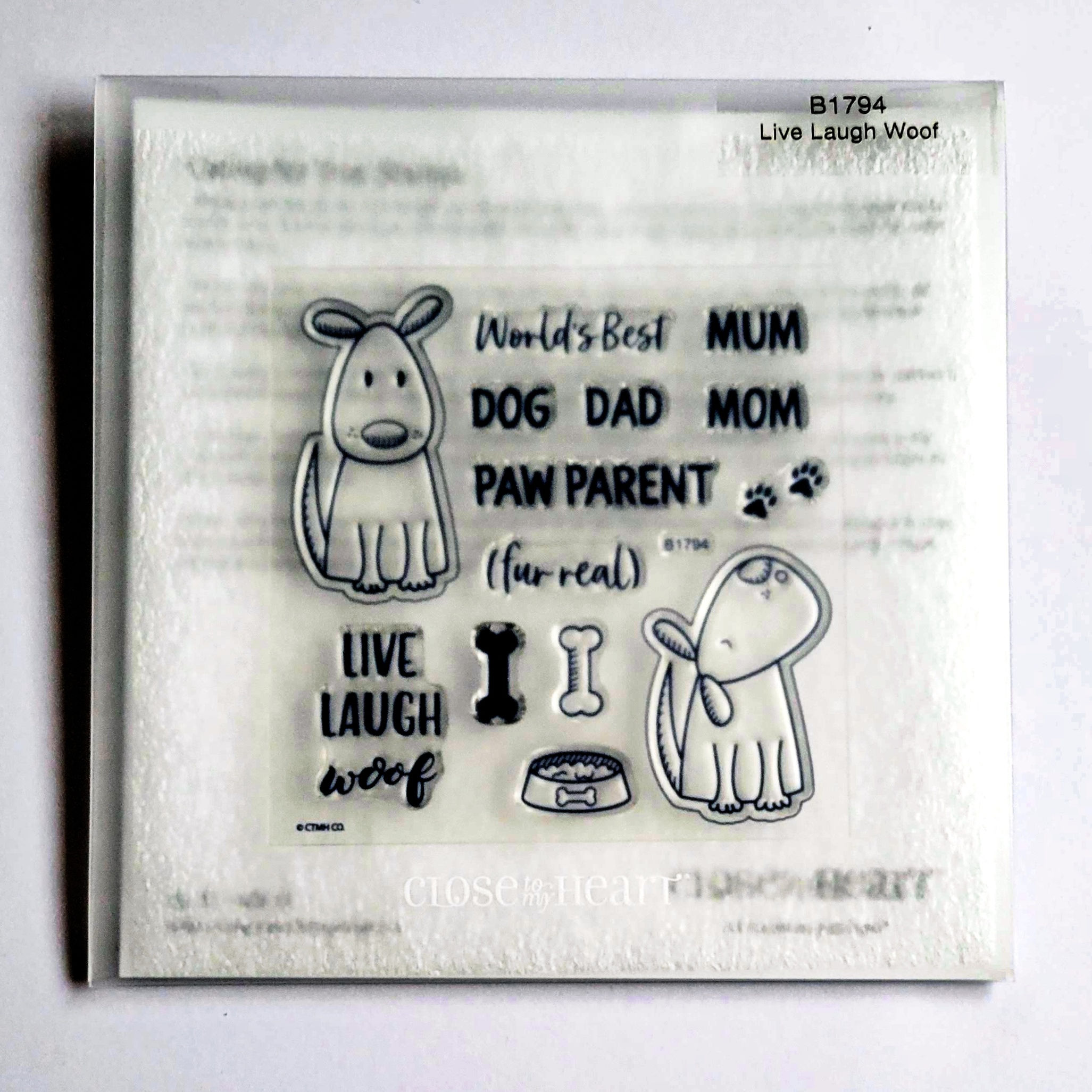 B1794 Retired CTMH Stamp Set