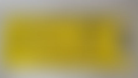 Hybryda/Indica - Cannabis flos 22% THC S-LAB - Beach Crasher