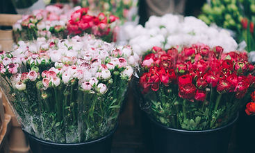 Fresh Flowers